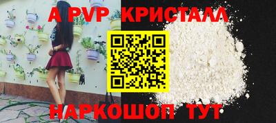 спайс Ачхой-Мартан