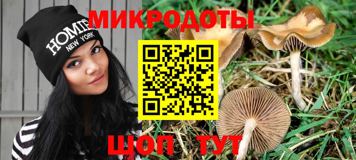 Псилоцибиновые грибы Psilocybe  Вход с VPN  Асбест 