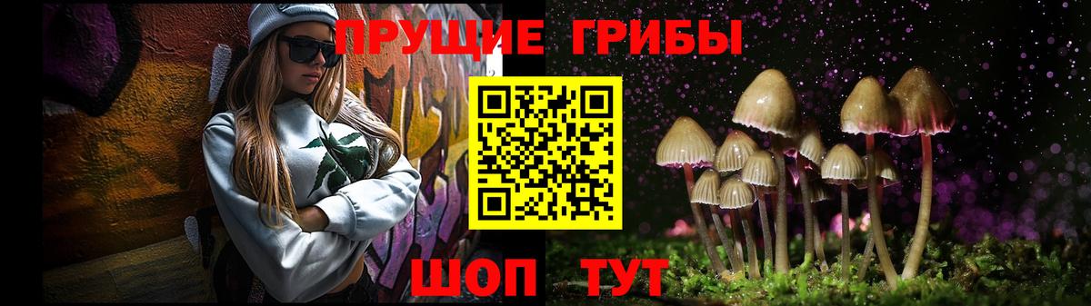 Псилоцибиновые грибы GOLDEN TEACHER Асбест